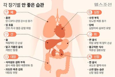 의사들이 선정한 ‘각 장기 망가뜨리는 최악의 습관’, 뭘까?